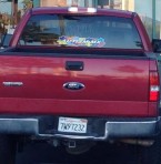 XL Autism MX LOGO Sticker